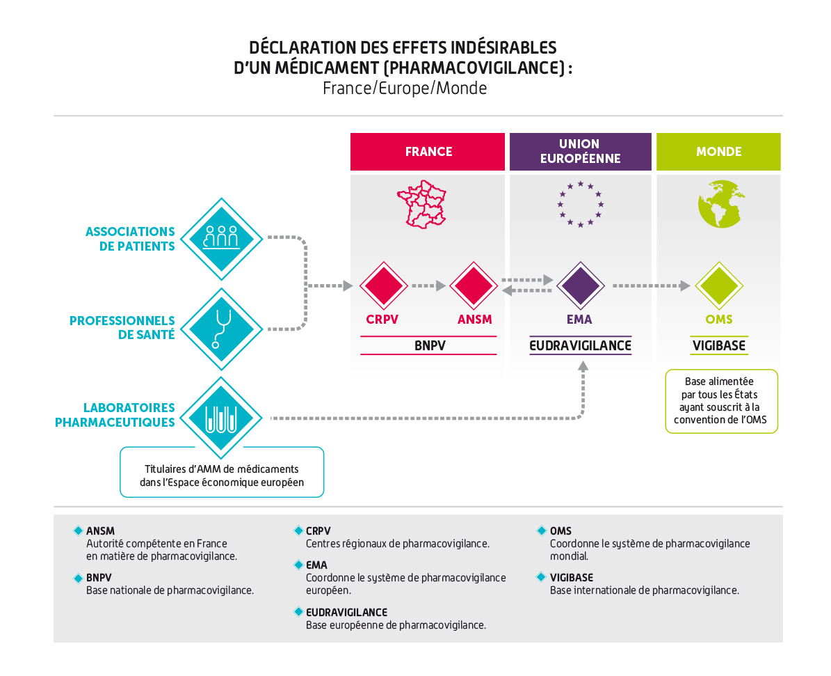 Circuit de déclaration des effets indésirables